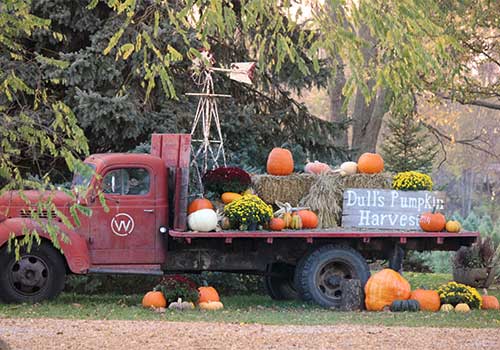 Dull's Tree Farm & Pumpkin Patch in Thorntown, Indiana
