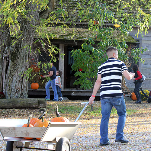 Hop aboard our wagon rides to the pumpkin patch at Dull's Tree Farm in Thorntown, IN near Frankfort and Lebanon.